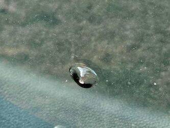 2008-mercedes-benz-citaro-1438468-46354377