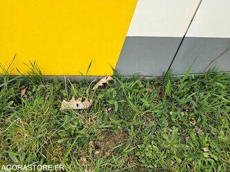 2008-mercedes-benz-citaro-1438468-46354381