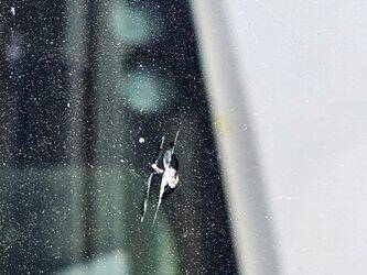 2008-mercedes-benz-citaro-1438469-46354452