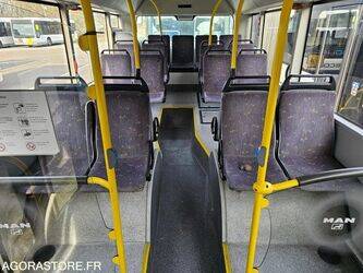 2010-man-lions-city-1438476-46355020