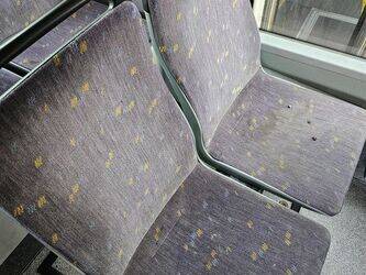 2010-man-lions-city-1438476-46355024