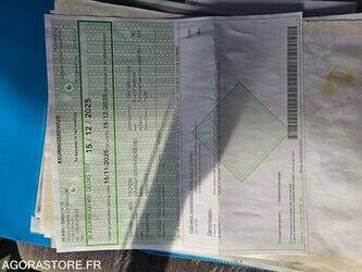 2010-man-lions-city-1438476-46355054