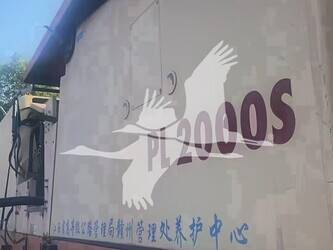 2006-dynapac-pl2000s-46373960