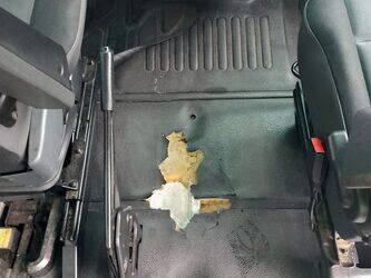 2014-renault-master-1438535-46378594