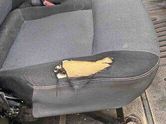 2012-renault-master-1438927-46391641