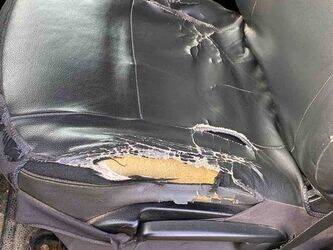 2013-renault-master-1438980-46391731