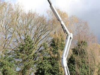 2016-manitou-170aetjl-1439196-46409349