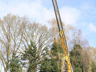 2014-haulotte-ht23rtj-1439201-46409498