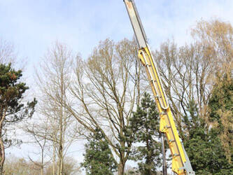 2014-haulotte-ht23rtj-1439201-46409499