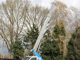 2013-mercedes-benz-sprinter-1439204-46409640