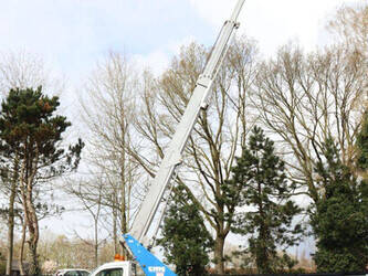 2013-mercedes-benz-sprinter-1439204-46409641