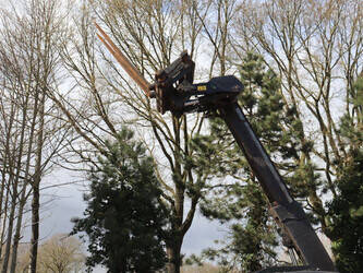 2016-jcb-30d-46416246