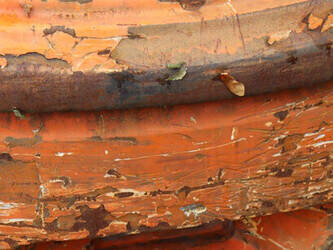 2013-doosan-d30s-5-1439505-46418793