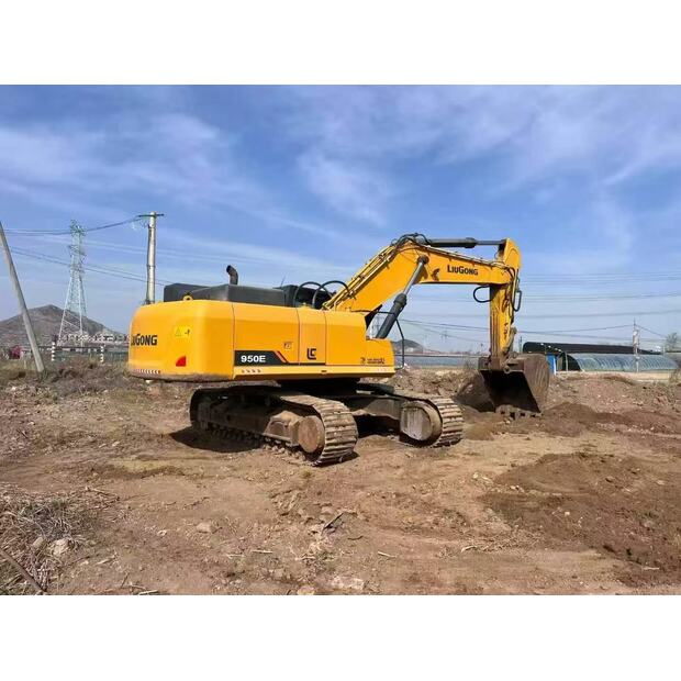 2021 ليوكونج 950E-46434376