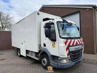 2016-daf-lf-180-fa-1439777-46435346