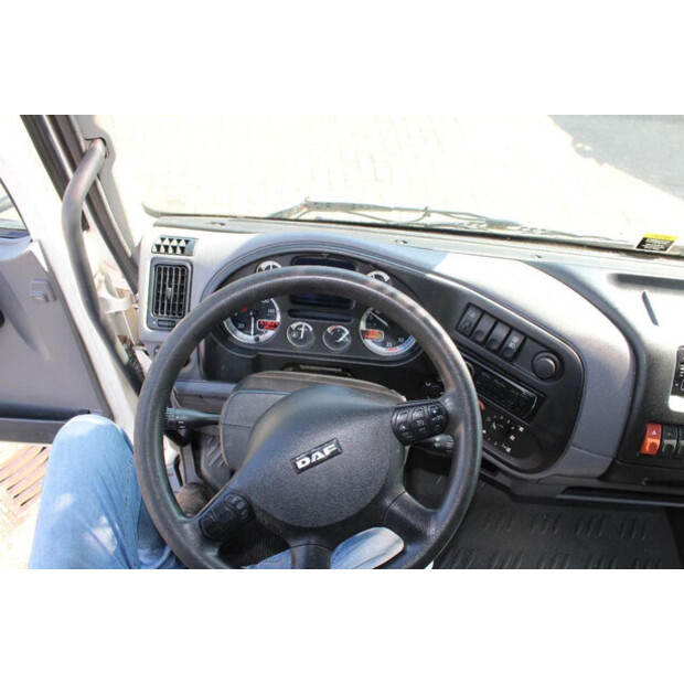 2009 DAF LF-46435580