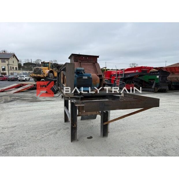 Christy Norris OTHERS-46444339