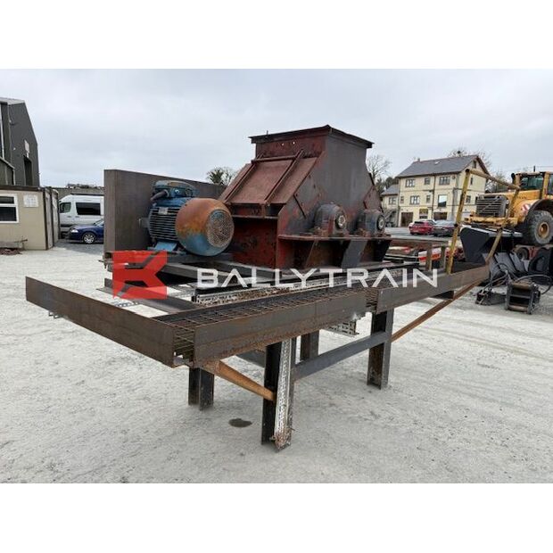 Christy Norris OTHERS-46444341