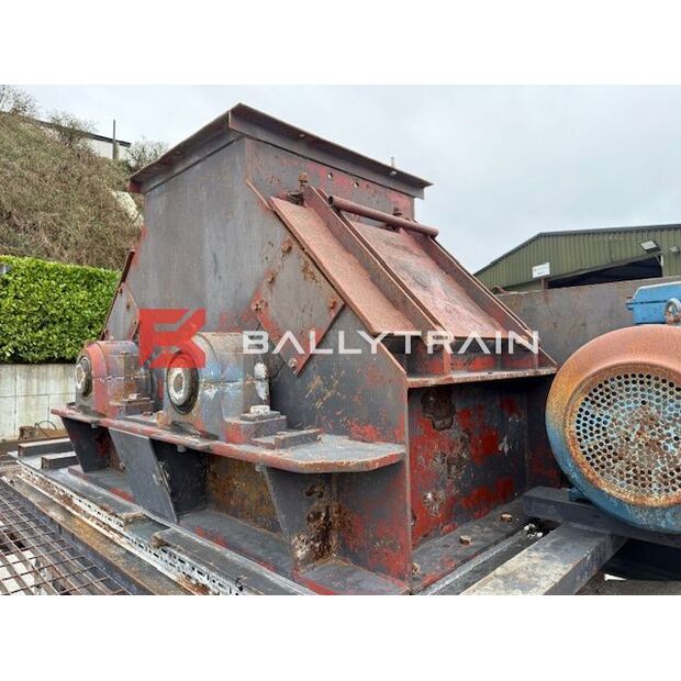 Christy Norris OTHERS-46444350