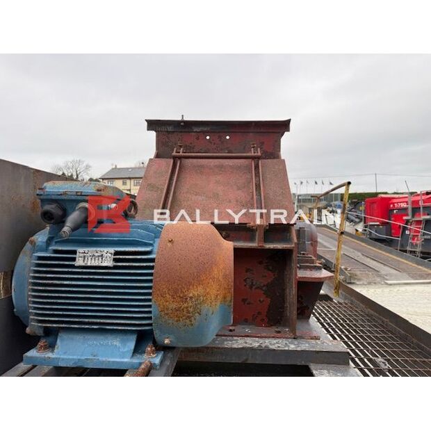 Christy Norris OTHERS-46444352