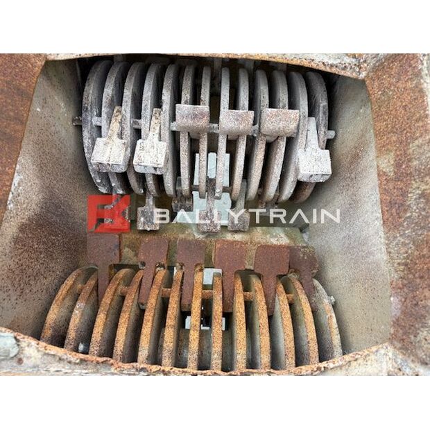 Christy Norris OTHERS-46444354