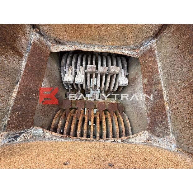 Christy Norris OTHERS-46444355