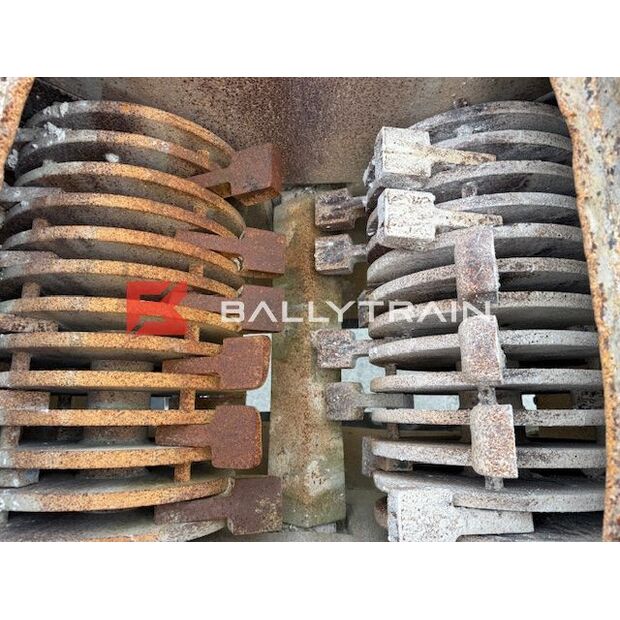 Christy Norris OTHERS-46444356