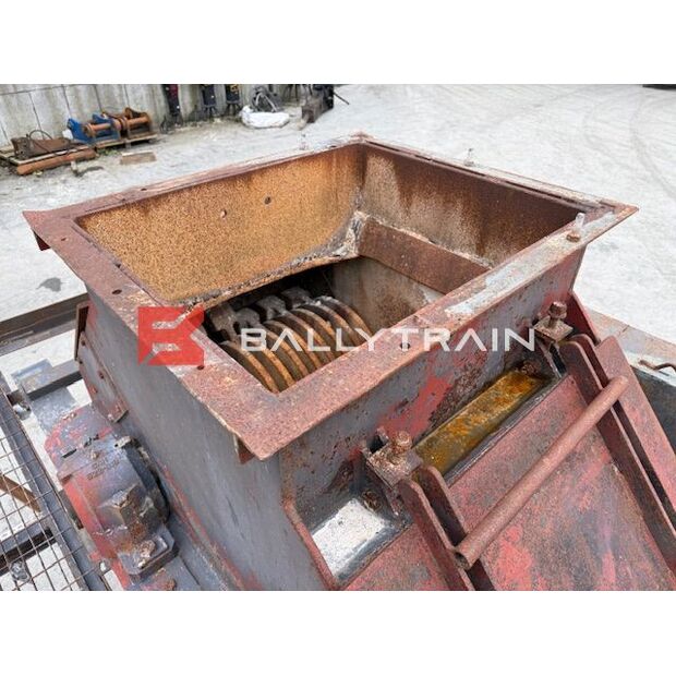 Christy Norris OTHERS-46444357