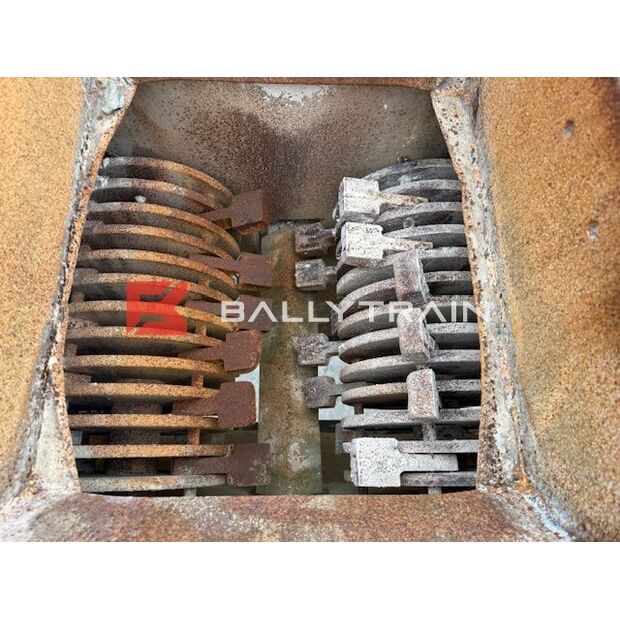 Christy Norris OTHERS-46444358