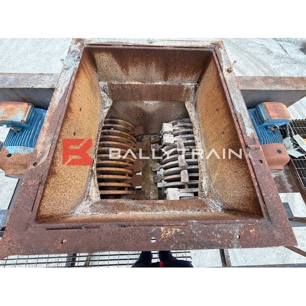 Christy Norris OTHERS-46444359