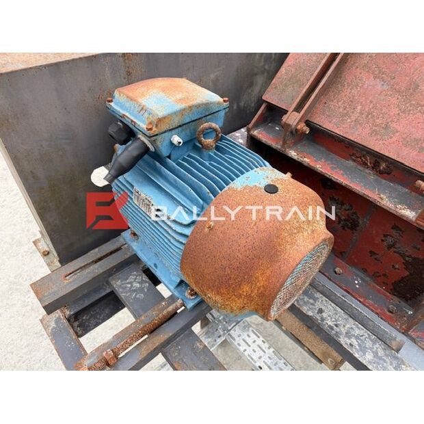 Christy Norris OTHERS-46444360