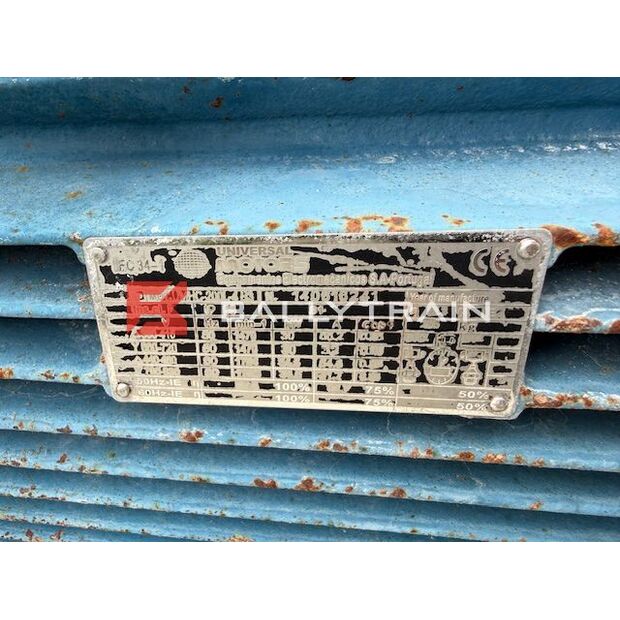 Christy Norris OTHERS-46444361