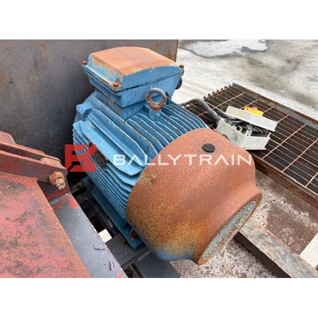 Christy Norris OTHERS-46444362