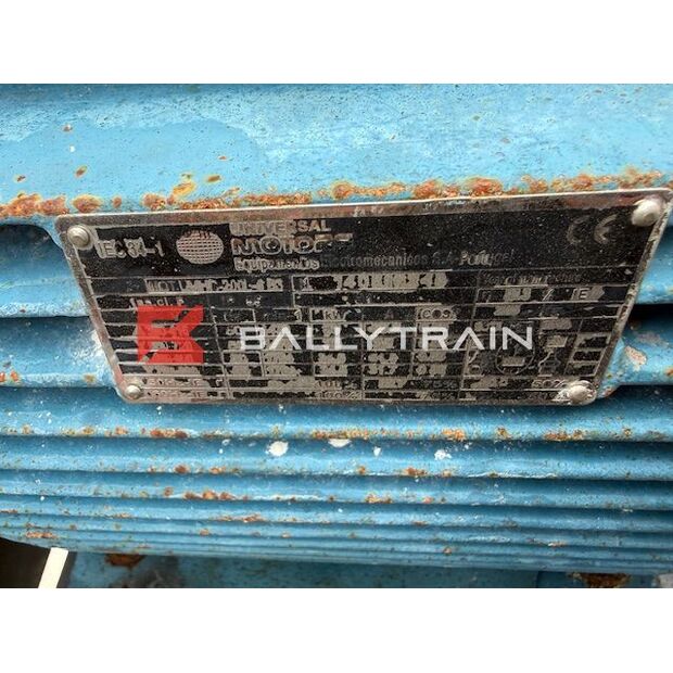 Christy Norris OTHERS-46444363