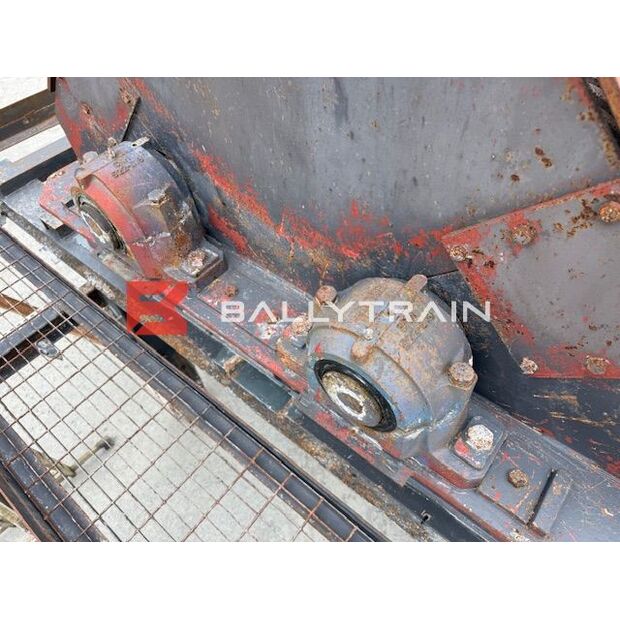 Christy Norris OTHERS-46444365