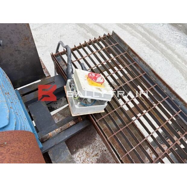 Christy Norris OTHERS-46444366