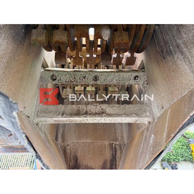 Christy Norris OTHERS-46444391