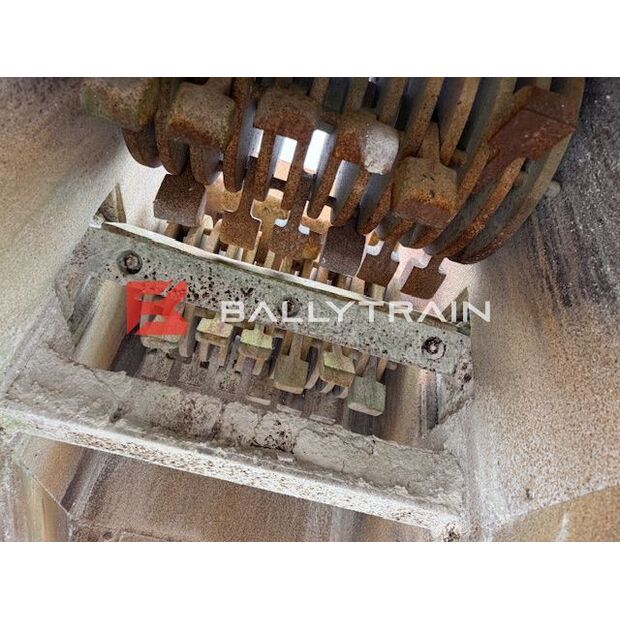 Christy Norris OTHERS-46444393