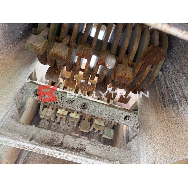 Christy Norris OTHERS-46444394