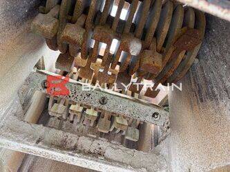 christy-norris-others-46444394