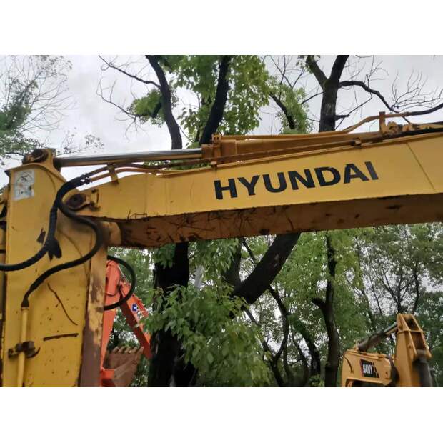 2020 Hyundai 80-7-46452487