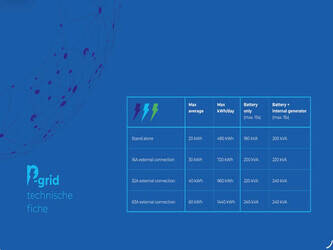 2025-e-power-p-grid-us-46453069