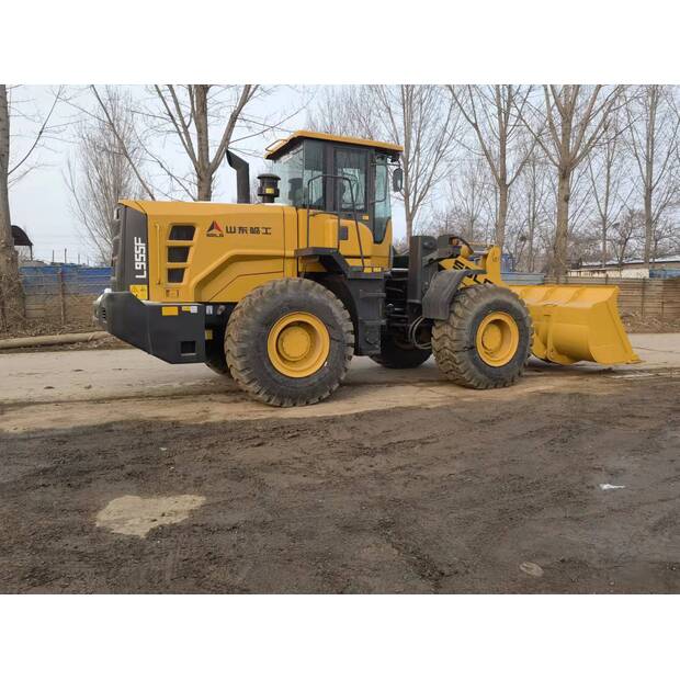 2021 اس دي ال جي L955F-46457019