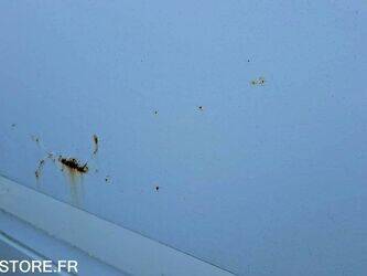 2006-mercedes-benz-sprinter-313-46472697