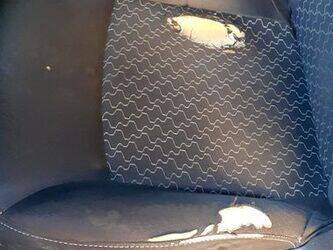 2016-renault-kangoo-1440603-46473124