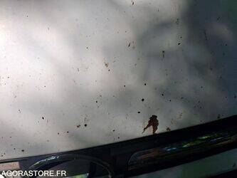 2006-opel-vivaro-1440636-46473415