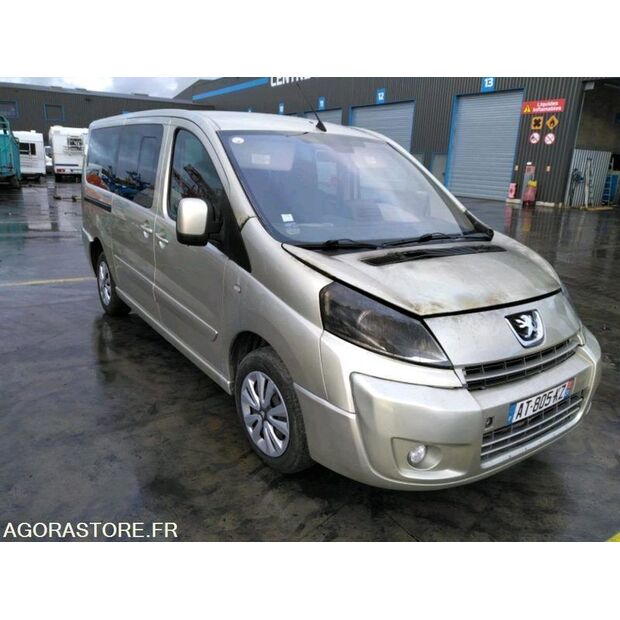 2010 بيجو Expert-46473641