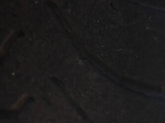 2007-volvo-fm-1440981-46477813