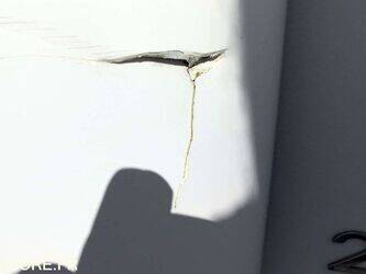 2013-renault-midlum-1440726-46495660