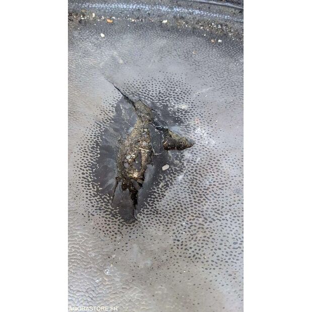 2013 Renault Midlum-46495668